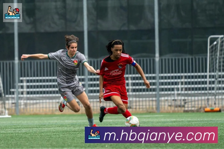 博亚app官网登录入口荣誉