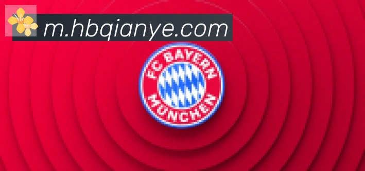 博亚app官网登录入口合作伙伴