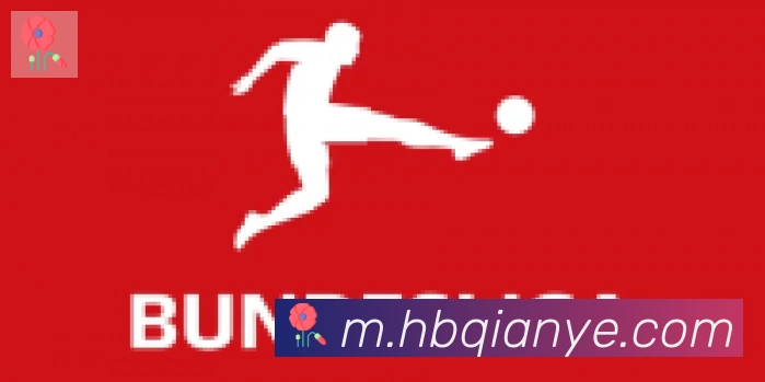 博亚app官网登录入口合作伙伴